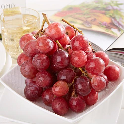 九游官网产品名称五